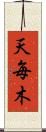 天毎木 Scroll