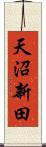 天沼新田 Scroll