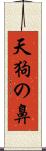 天狗の鼻 Scroll