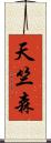 天竺森 Scroll