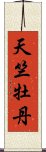 天竺牡丹 Scroll