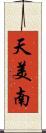 天美南 Scroll