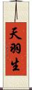 天羽生 Scroll