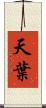 天葉 Scroll