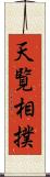 天覧相撲 Scroll