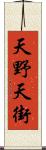 天野天街 Scroll