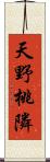 天野桃隣 Scroll