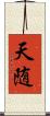 天随 Scroll