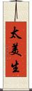 太美生 Scroll