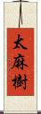 太麻樹 Scroll