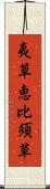 夷草 Scroll
