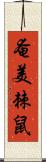 奄美棘鼠 Scroll