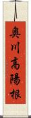 奥川高陽根 Scroll