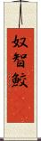 奴智鮫(rK) Scroll