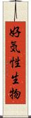 好気性生物 Scroll