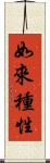 如來種性 Scroll
