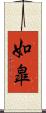 如皐 Scroll