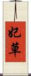 妃草 Scroll