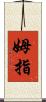 姆指 Scroll