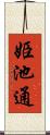 姫池通 Scroll