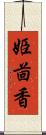 姫茴香 Scroll