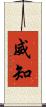 威知 Scroll