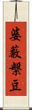 婆藪槃豆 Scroll