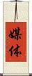 媒体 Scroll