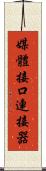 媒體接口連接器 Scroll