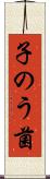 子のう菌 Scroll