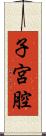 子宮腔 Scroll