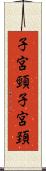 子宮頸 Scroll