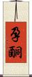 孕酮 Scroll