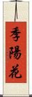 季陽花 Scroll