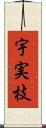 宇実枝 Scroll