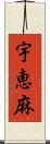 宇恵麻 Scroll