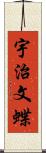 宇治文蝶 Scroll