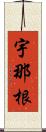 宇那根 Scroll