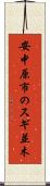 安中原市のスギ並木 Scroll