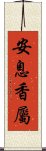 安息香屬 Scroll