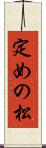 定めの松 Scroll