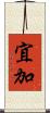 宜加 Scroll