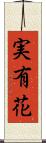実有花 Scroll