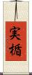 実楯 Scroll