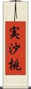 実沙桃 Scroll