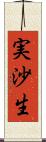 実沙生 Scroll