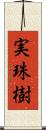 実珠樹 Scroll