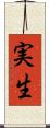 実生 Scroll