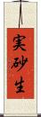 実砂生 Scroll