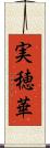 実穂華 Scroll